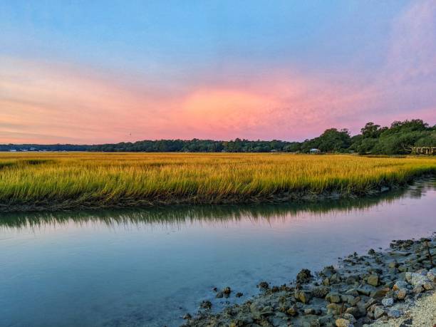 istock Beautiful scenery of a stream with grass and sunset background 1461596225