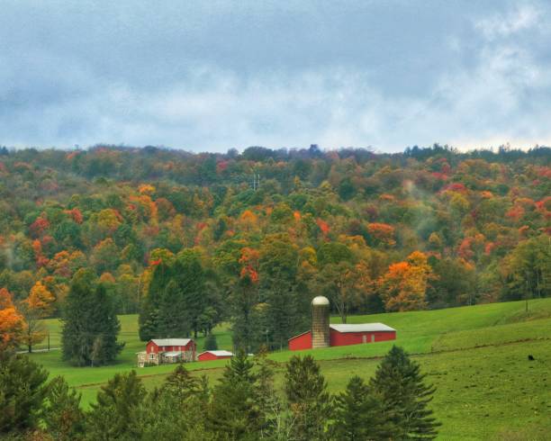 istock Natural view of a barn in the meadow surrounded by trees 1461596238