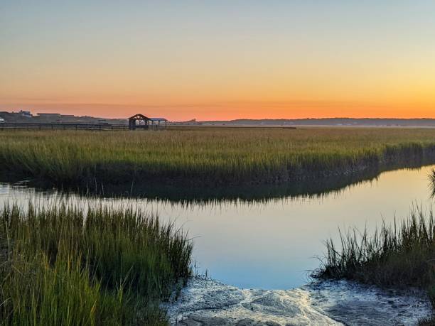 istock Beautiful scenery of a strim filled with grass with a sunset background 1461596248