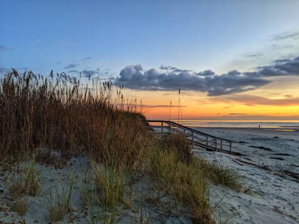 istock Beautiful scenery of a boardwalk on the seashore with a sunset background 1461596249