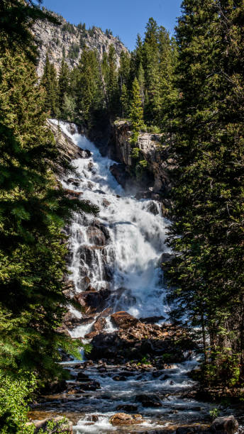 istock Vertical shot of a flowing waterfall on a beautiful mountainside 1461596776