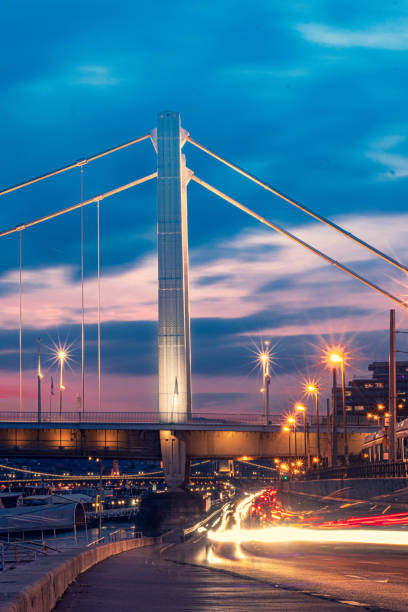 istock Vertical shot of a high bridge on a sunset background 1461596934