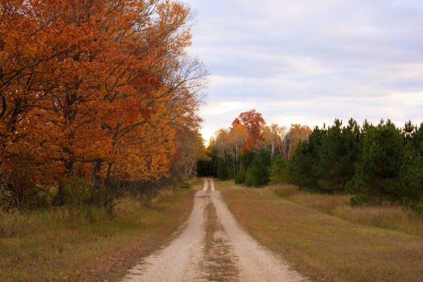 An empty road in the countryside in autumn