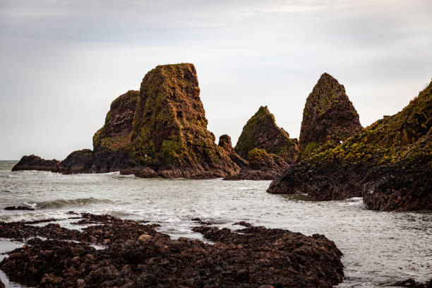 istock North Sea from a rocky shore in Stonehaven, the UK 1461597580