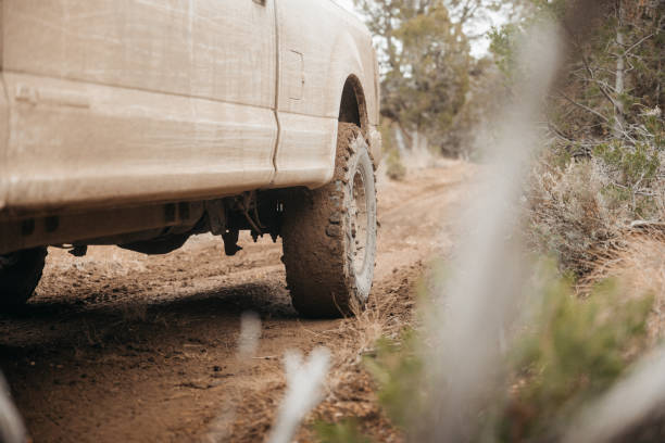 istock Closeup shot of a muddy tire 1461597769