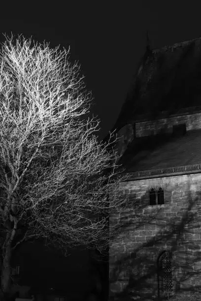 A grayscale shot of tree branches at night in Korbach, Hessen, Germany