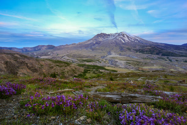 istock Volcanic mount St. Helens against a cloudy sky in Washington, USA 1461597823