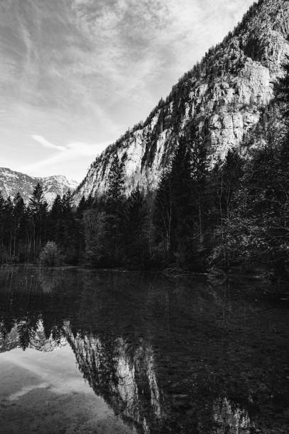 istock Beautiful greyscale mountainous landscape in Austria 1461597928