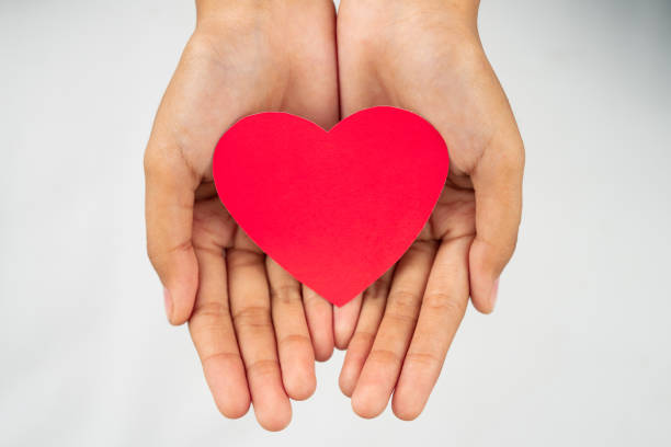 istock Two palms holding the shape of a heart 1461598704