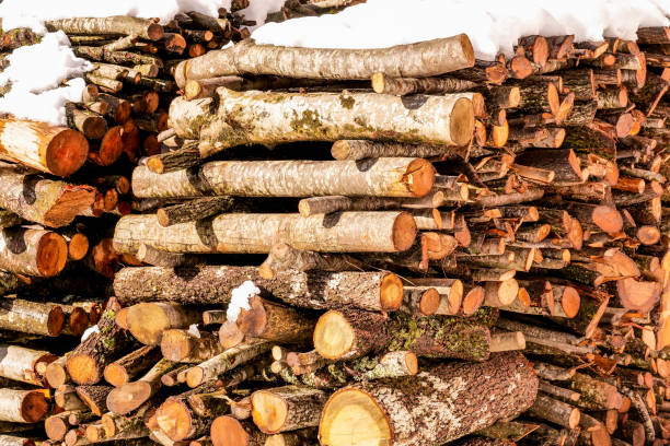 A woodpile ready to use in the fire or fireplace. Image in high definition quality.