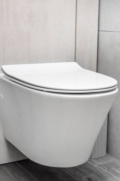 istock Ceramic wall-hung toilet. White lavatory pan. 1461601553