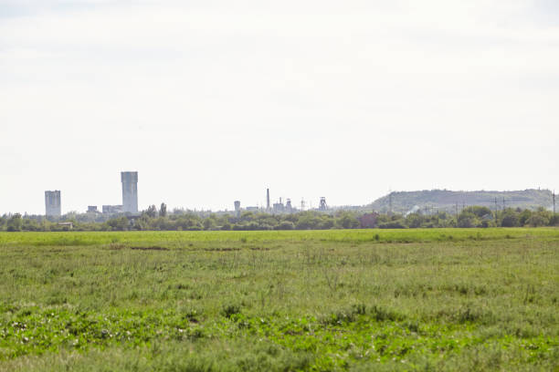 istock Meadow with green grass. There is mine pile on horizon 1461601694