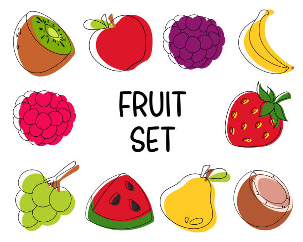 satz gezeichneter früchte, umriss und farbe. apfel, birne, traube, himbeere, brombeere, kiwi, kokosnuss, banane, erdbeere, wassermelone - blackberry blueberry raspberry fruit stock-grafiken, -clipart, -cartoons und -symbole