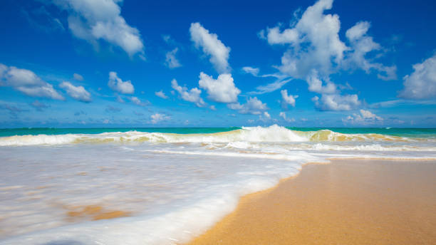 istock Sea and beach with blue sky sunshine day summer vacation background 1461612935