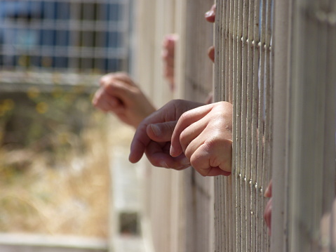 3 human hands coming out of a railing with a blurred background