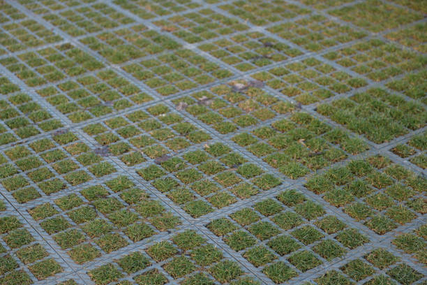 Aerial view of grass lawn with stepping stones and a nearby tennis court.