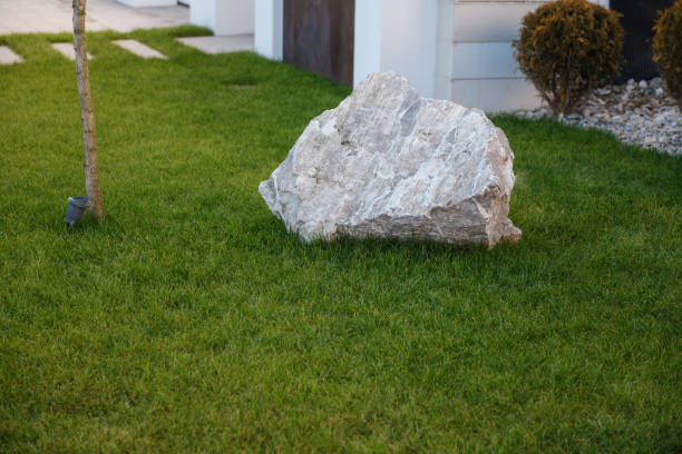 istock young green lawn near the house with decor 1461614372