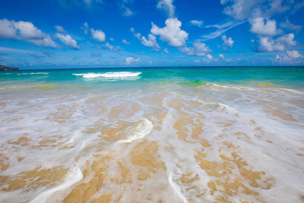 istock Sea and beach with blue sky sunshine day summer vacation background 1461614436