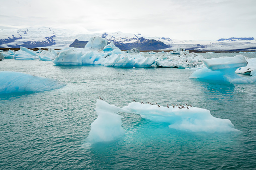 Aerial view of huge icebergs floating in front of colourful houses in Ilulissat, Greenland. Ilulissat lies 200 km north of the Arctic Circle in Qaasuitsup municipality, Western Greenland