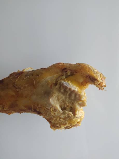 istock A cow femur bone chewed on by a dog 1461617084