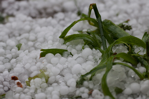 hailstones on the ground after the storm