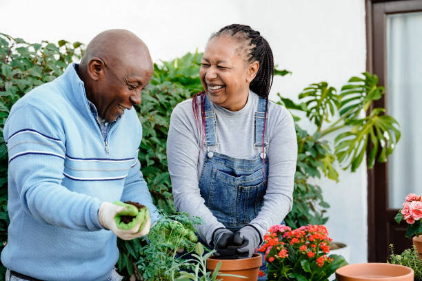 feliz agricultor africano pareja mayor jardinería al aire libre en la terraza del patio trasero de la casa - enfoque suave en la maceta central - florida house patio real estate fotografías e imágenes de stock