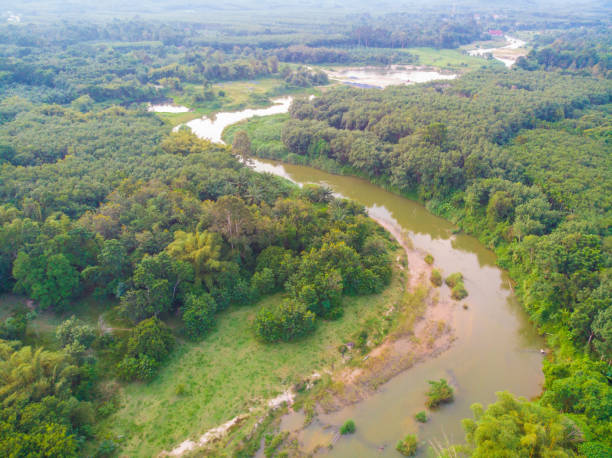 istock River curve with tropical rain forest aerial view 1461619087