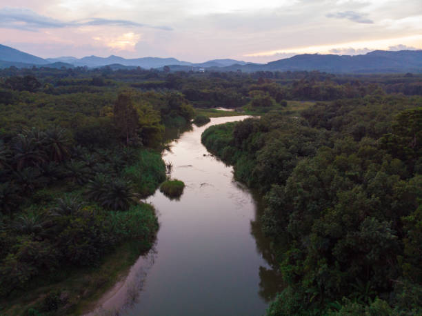 istock River curve with tropical rain forest aerial view 1461619542