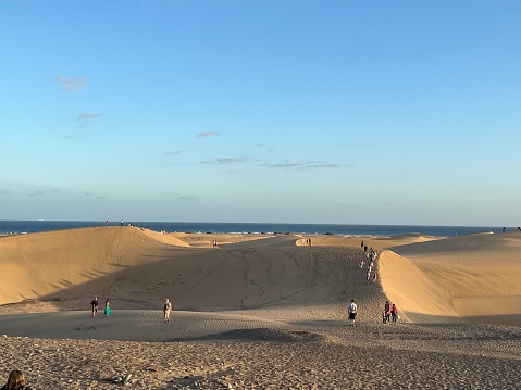 Protected natural reserve of Maspalomas Dunes on the island of Gran Canaria