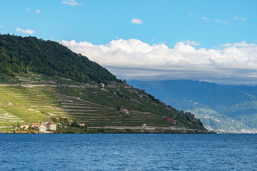 Terraced lavaux vineyards and houses cling to a hill along lake geneva