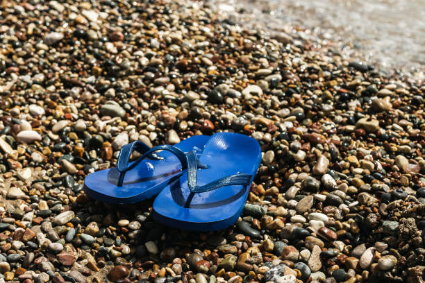 istock Wet blue rubber flip flops at the pebbly beach 1461627534