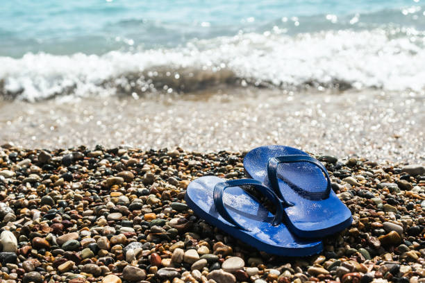 istock Wet blue rubber flip flops at the pebbly beach 1461627598