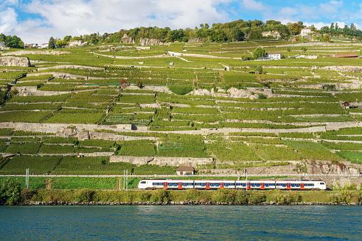 Train moves along the blue lake geneva shoreline with terraced lavaux vineyards on the hill behind it