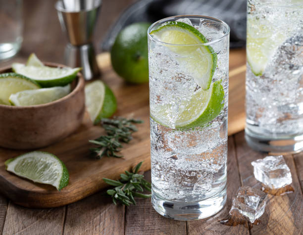 istock Gin and tonic cocktail with lime and ice 1461627790