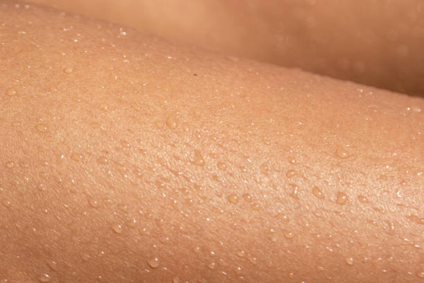 Closeup of wet tanned female skin stock photo