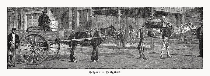 Historical view of a horse cart with driver in Coolgardie - a small town in Western Australia, located 558 kilometers east of Perth in the Goldfields-Esperance region. This city has a population of around 850 today, but was once the third largest city in Western Australia with 15,000 residents after Perth and Fremantle when the gold rush brought gold miners there in the late 19th century. Today, this place is known to most residents of Western Australia as a tourist and ghost town. Wood engraving, published in 1899.