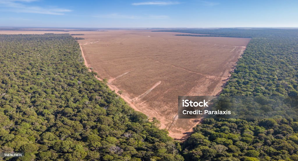 Drone panoramic aerial view of illegal amazon deforestation, Mato Grosso, Brazil. Forest trees and agriculture field land. Concept of climate change, global warming, ecology, environment, nature. - Royalty-free Ontbossing Stockfoto