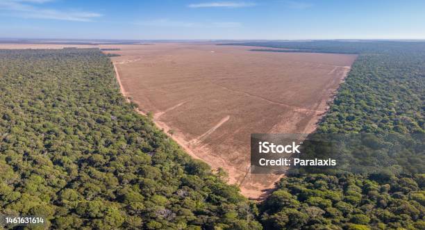 Drone Panoramic Aerial View Of Illegal Amazon Deforestation Mato Grosso Brazil Forest Trees And Agriculture Field Land Concept Of Climate Change Global Warming Ecology Environment Nature Stockfoto en meer beelden van Ontbossing