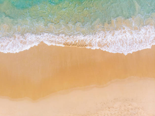 istock Aerial view sea wave beach with white sand summer 1461632660