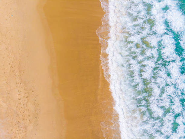 istock Aerial view sea wave beach with white sand summer 1461633673