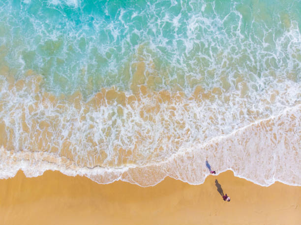 istock Aerial view sea wave beach with white sand summer 1461633675