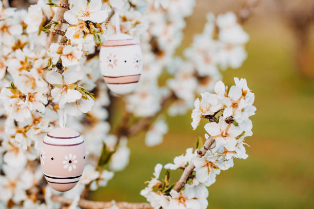 istock Two nice easter eggs in bright beige tones and brown tones hanging in between almond blossoms on an almond tree on the island Mallorca 1461634936