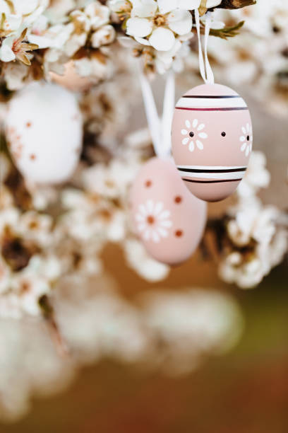 istock Three nice easter eggs in bright beige and brown tones hanging in between almond blossoms on an almond tree on the island Mallorca 1461635535