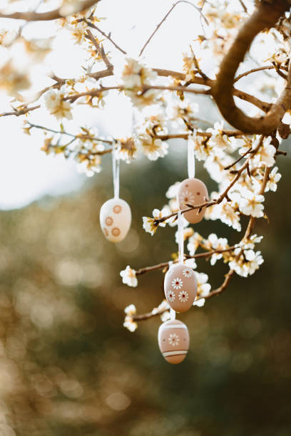 Four nice easter eggs in bright beige and brown tones hanging on an almond tree on the island Mallorca