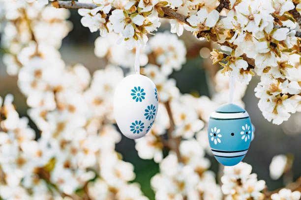 istock Two nice easter eggs in bright blue colors and brown tones hanging in between almond blossoms on an almond tree on the island Mallorca 1461635752