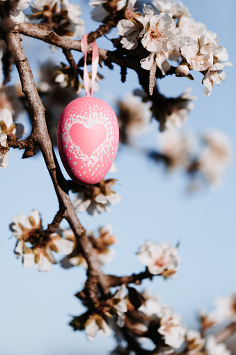 Self painted easter egg with an heart shape hanging in between almond blossoms on an almond tree with the blue sky in the background. Color editing with added grain. Very selective focus.