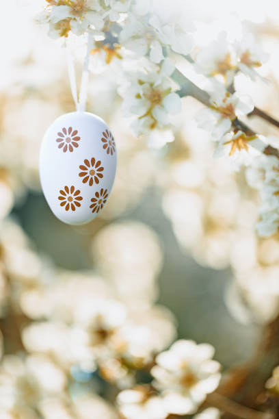 Nice floral easter egg in beige and brown tones hanging in between almond blossoms on an almond tree on the island Mallorca. Color editing with added grain. Very selective focus. Part of a series.