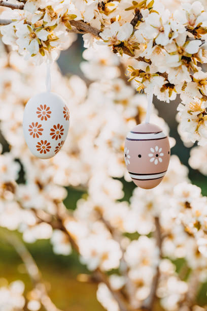 istock Two nice easter eggs in beige and brown tones hanging in between almond blossoms on an almond tree on the island Mallorca 1461636270