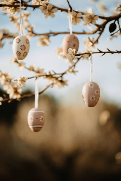istock Four boho easter eggs in bright beige and brown tones hanging on an almond tree on the island Mallorca 1461636314