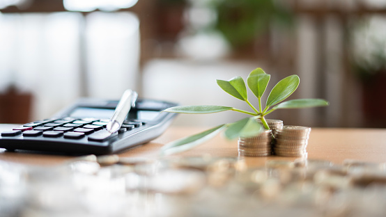 plant seedling disorders and calculator on the table at home